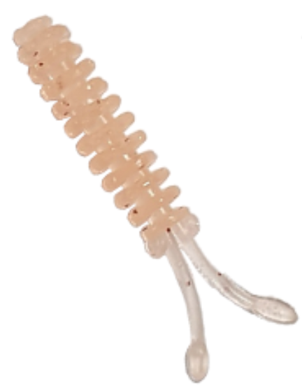 Aji Milk Squid 1.5in