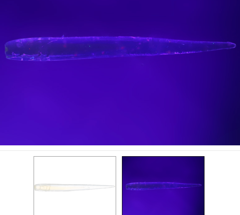 Shirasu Beam 2