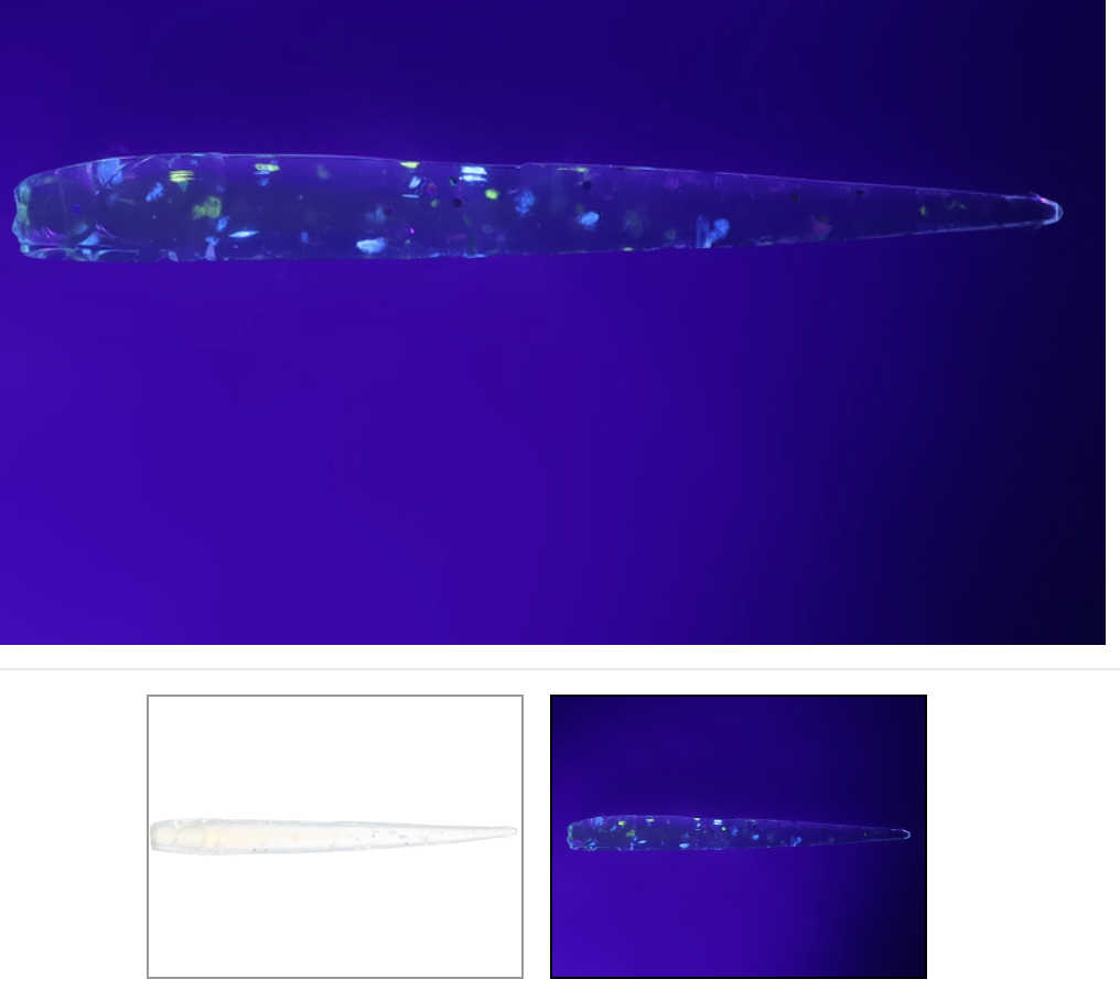 Shirasu Beam 2