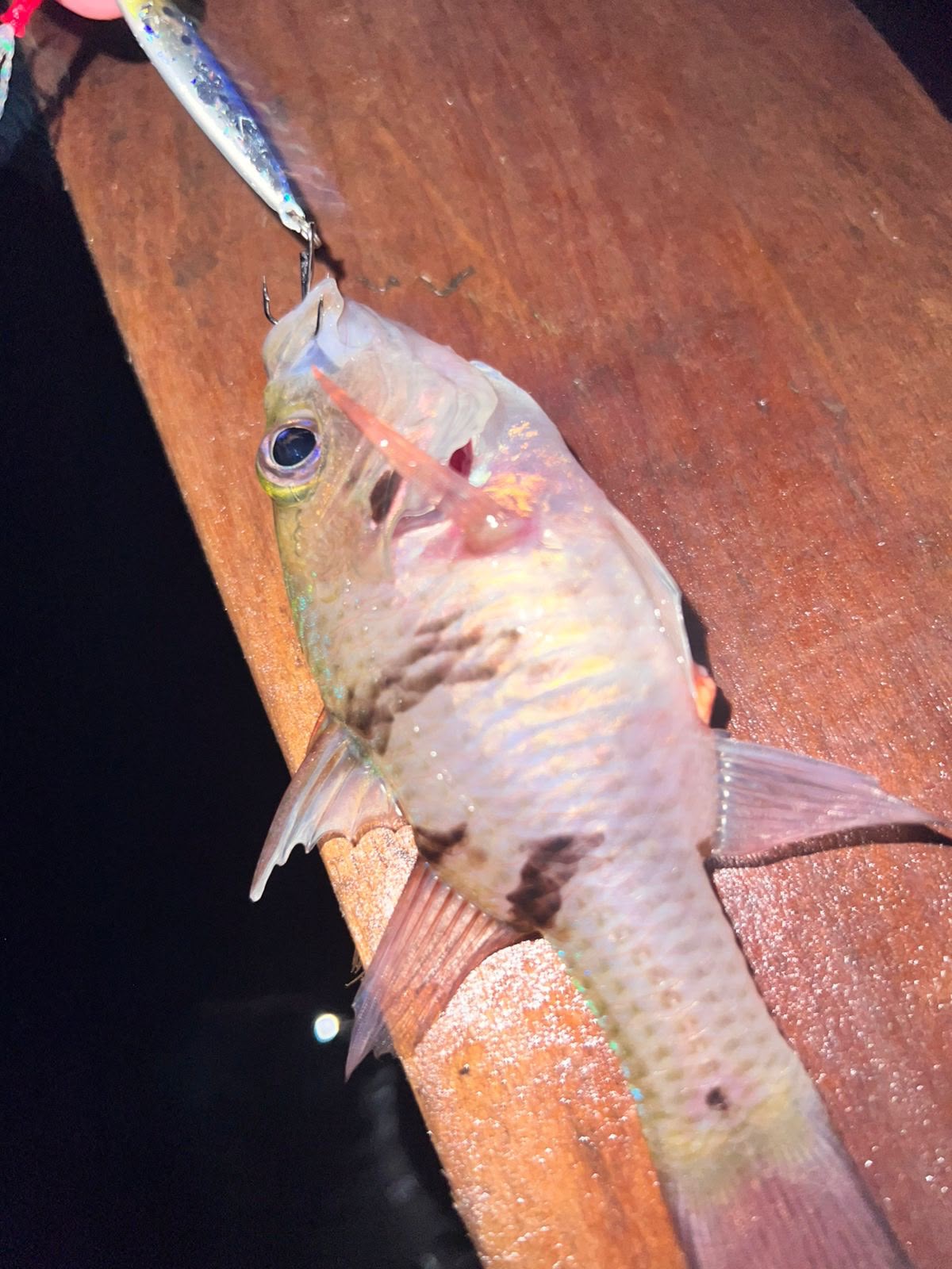 Daiso Micro Jig with assist hook 3g