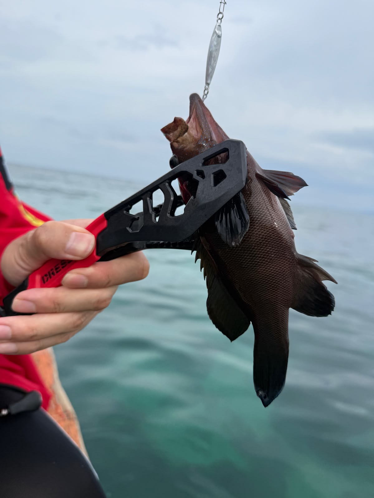 Daiso Micro Jig with assist hook 3g