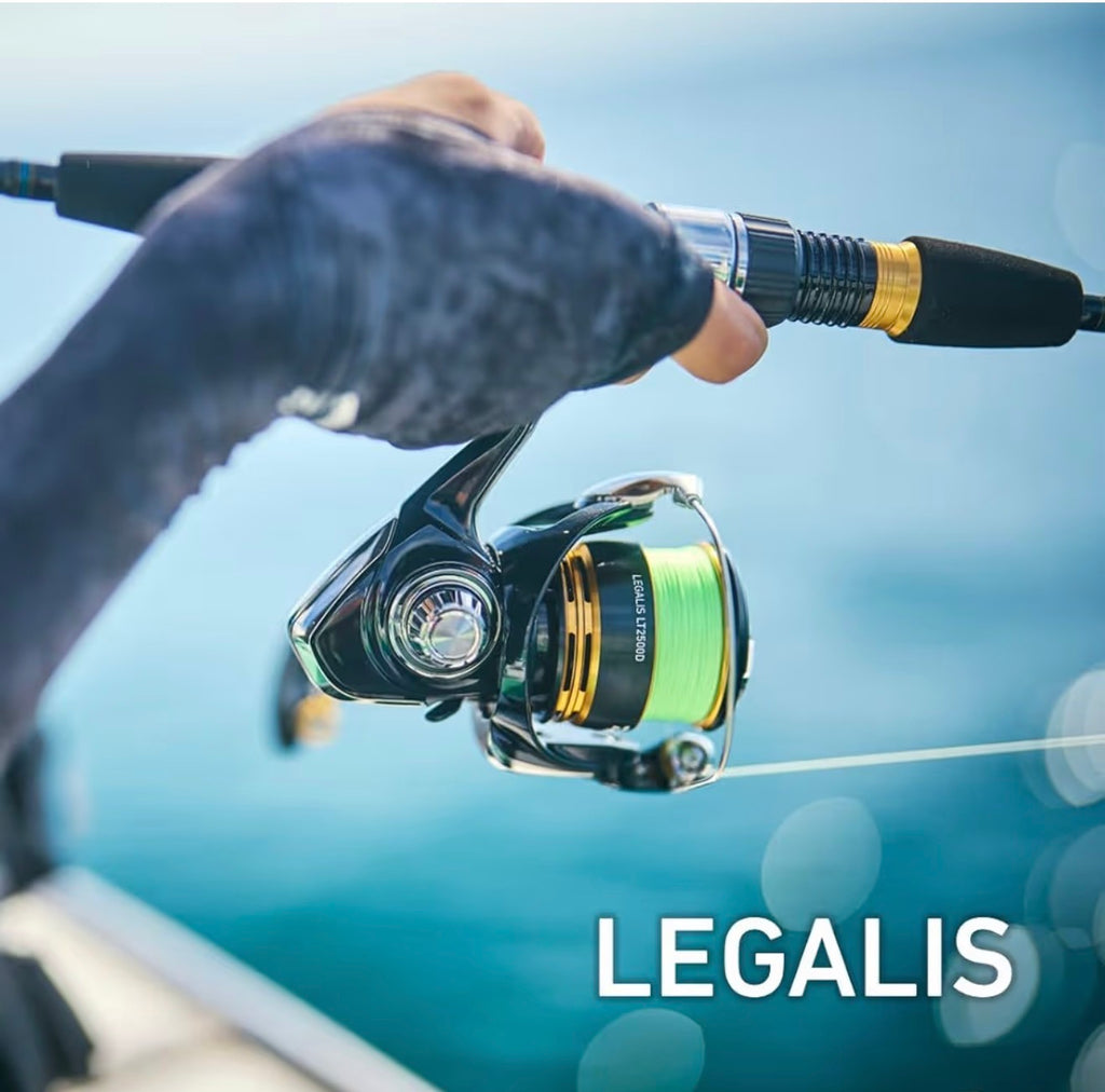 23 Legalis LT