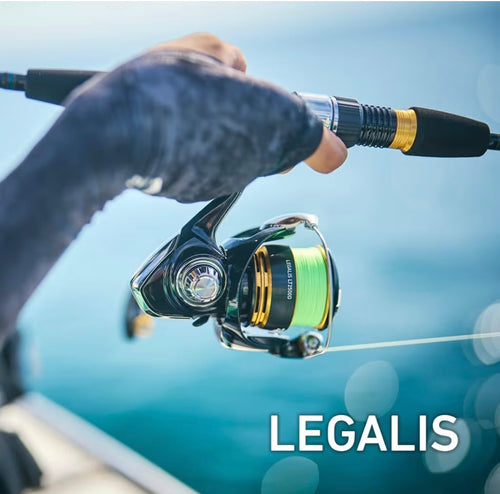 23 Legalis LT