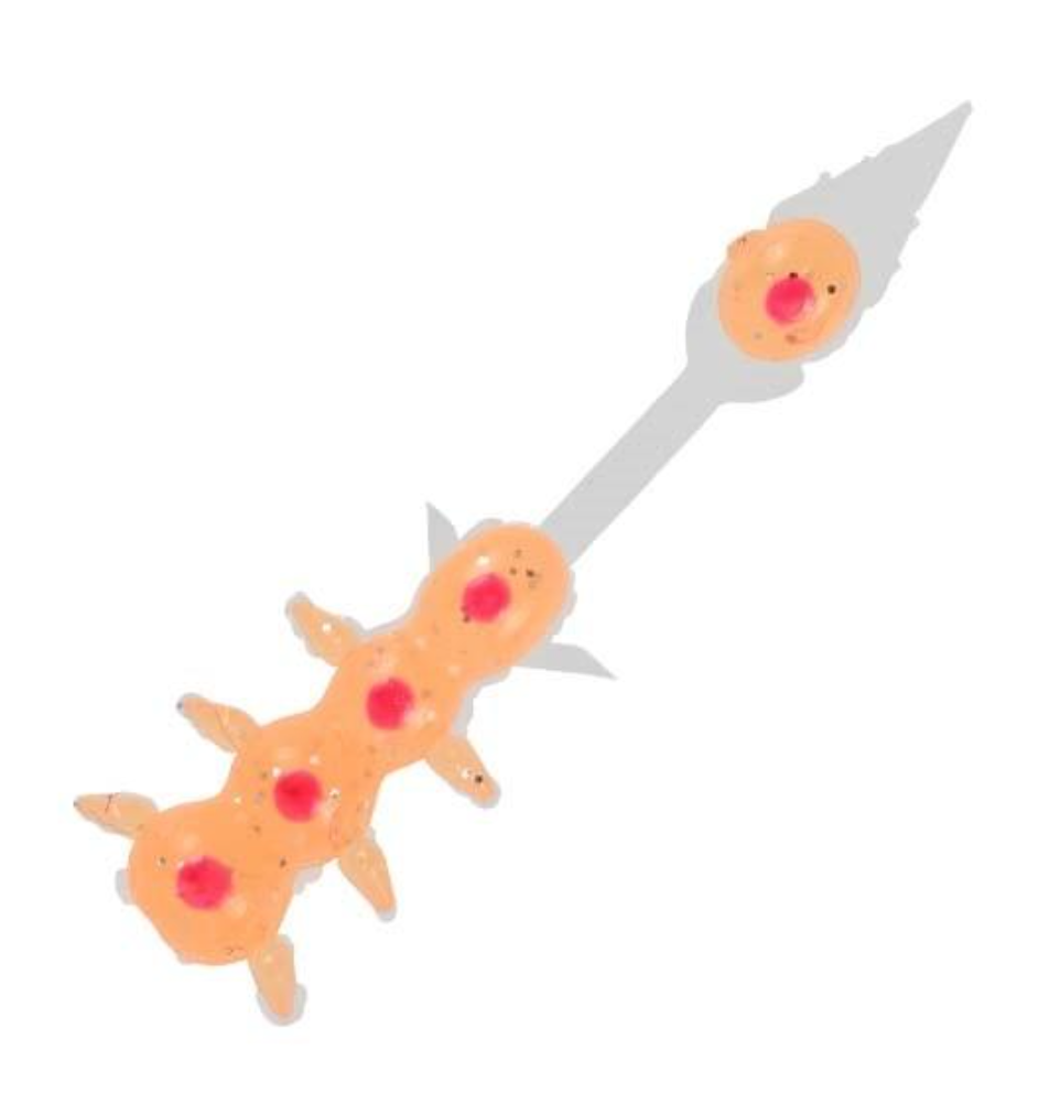 Kamitail Ikura Worm 1.2