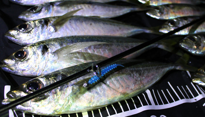Aji Bokko 2.5 inch