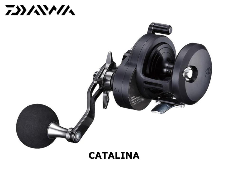 19 Catalina